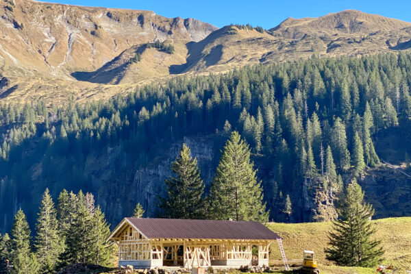 LogHome_Neubau_Alphütte_Untersihl_Holzbau_Holzhaus_15