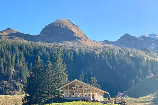 LogHome_Neubau_Alphütte_Untersihl_Holzbau_Holzhaus_16