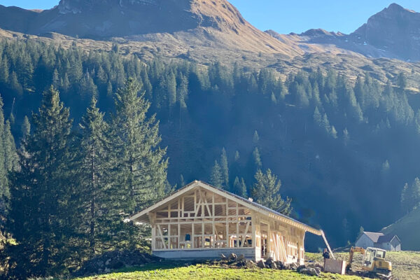 LogHome_Neubau_Alphütte_Untersihl_Holzbau_Holzhaus_16_2