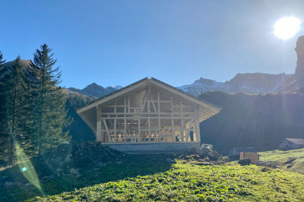 LogHome_Neubau_Alphütte_Untersihl_Holzbau_Holzhaus_17